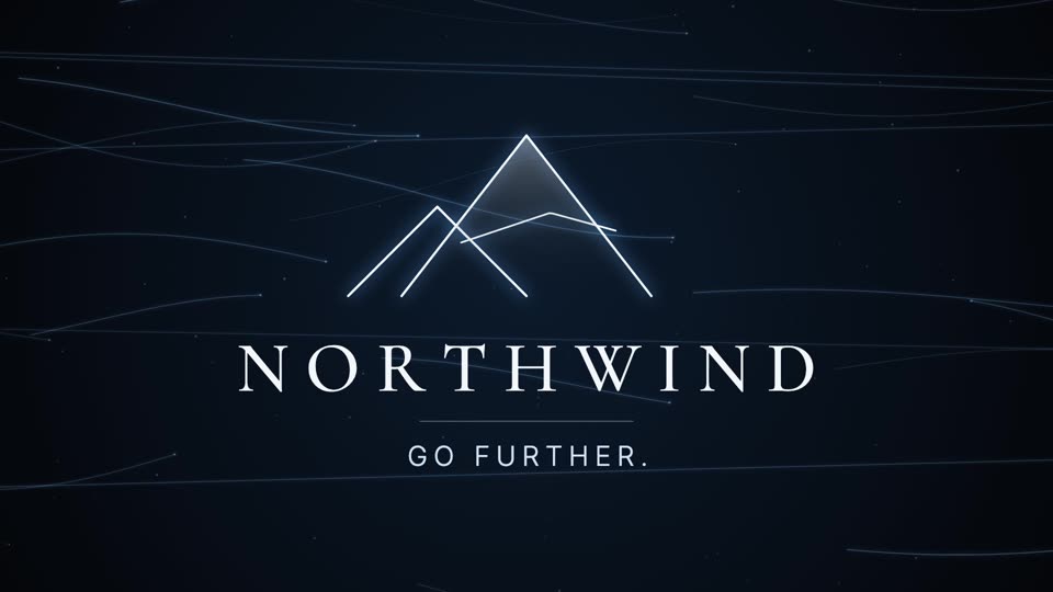 Logo reveal animation example